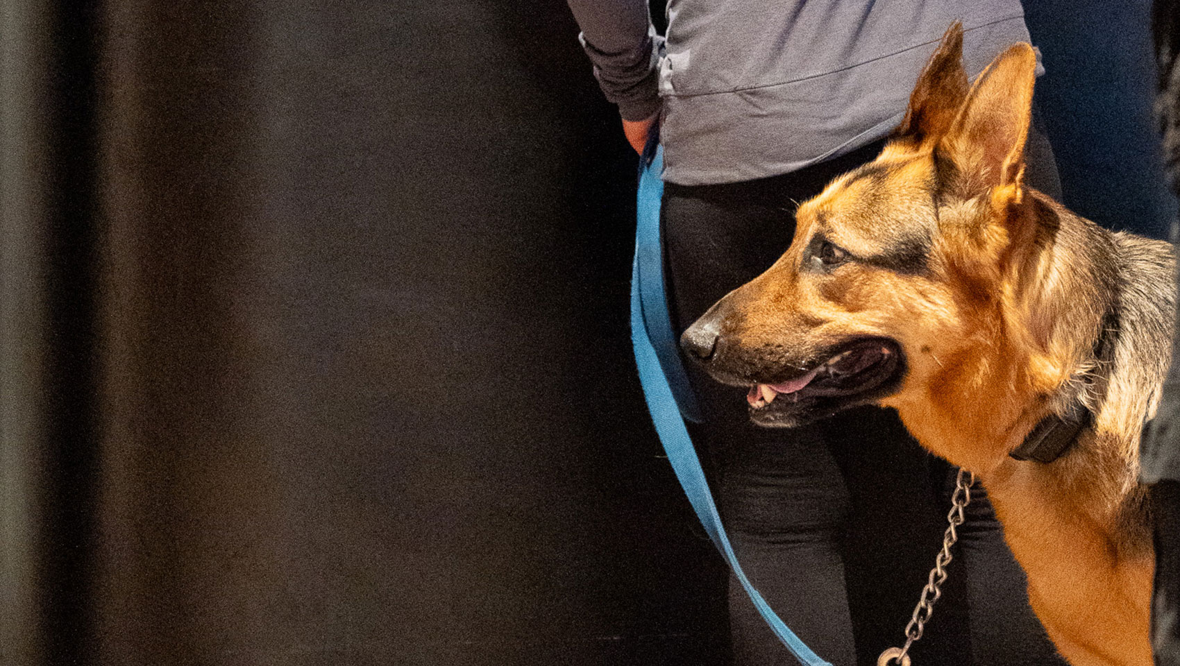 woman with dog check's in at kimpton alton hotel