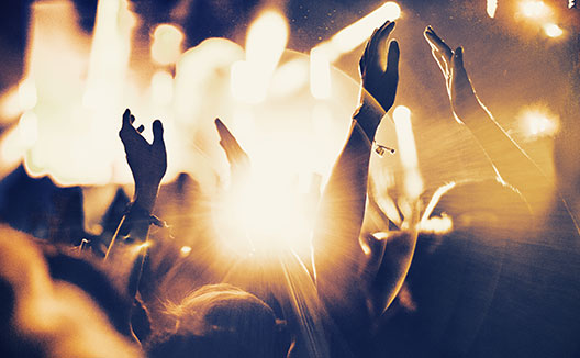 closeup of crowd at live show