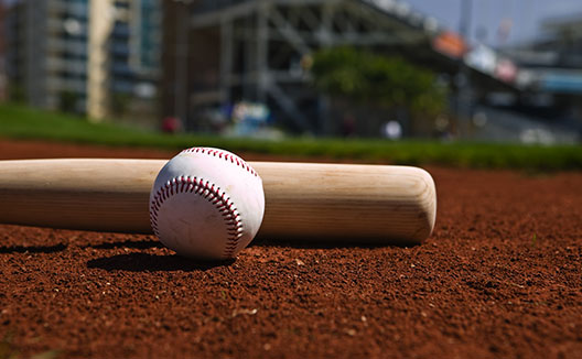 Baseball and bat on the field