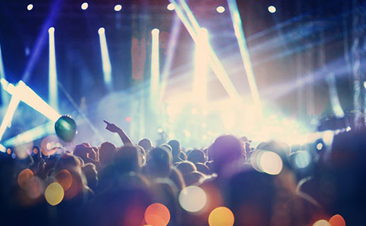 crowd and live music event